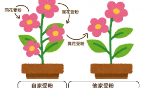 破伤风和消炎针的区别是什么-破伤风和消炎针的区别网 - 为你提供破伤风和消炎针的区别是什么、破伤风针和消炎药有冲突吗