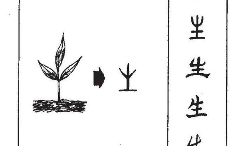 破伤风伤口与普通伤口有什么区别-破伤风和消炎针的区别网 - 为你提供破伤风和消炎针的区别是什么、破伤风针和消炎药有冲突吗