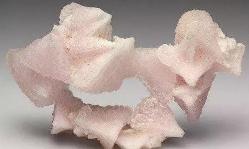 破伤风和消炎针的区别是什么-破伤风和消炎针的区别网 - 为你提供破伤风和消炎针的区别是什么、破伤风针和消炎药有冲突吗